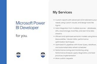 be your microsoft power bi developer and data analyst