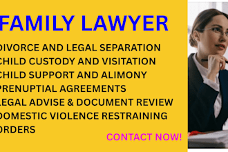 provide divorce settlement, child support, or family litigation services