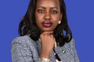 handle human rights, economic, social, cultural rights and