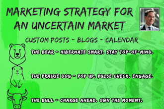 create a marketing strategy for an uncertain market  and economy