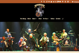 design a professional music website for artist, dj, band, or record label