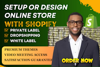 build shopify store shopify dropshipping shopify website