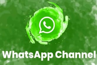 boost your whatsapp channel to gain followers, whatsapp community group,mass dm