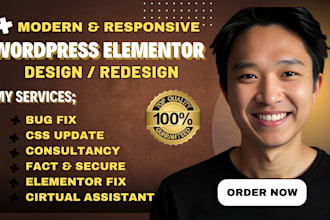 be elementor expert to build wordpress elementor pro website