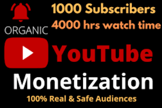 do organic channel growth youtube promotion and monetization video seo