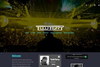 build music website for music artist, dj, band, record label, wix or wordpress
