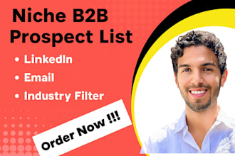 do niche b2b prospect list, linkedin, email, industry filter
