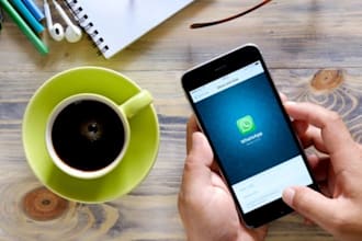 promote whatsapp followers, whatsapp channel,gain audience,mass dm,whatsapp ads