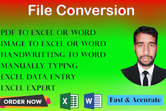 do any file conversion,excel,ms word,pdf to excel or word