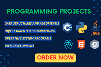 python java js c cpp c sharp r assembly programming task and projects