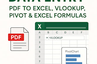 do accurate data entry PDF to excel and pivot table in excel