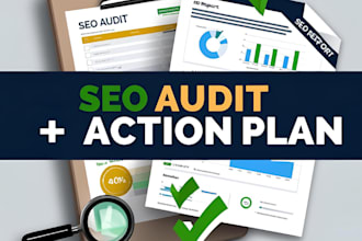 do complete SEO audit report with good plan