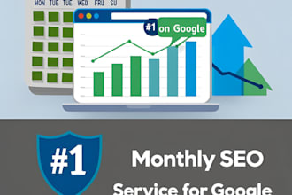 do complete monthly SEO service for on page and off page