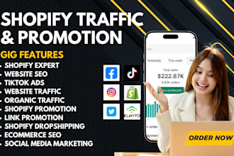 do complete shopify seo to improve ecommerce ranking, sales, and traffic