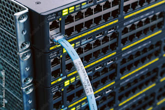 configure cisco switches and routers for optimized network performance