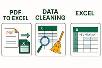 create custom excel dashboards, data analysis, and formatting