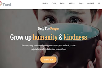 nonprofit website, charity website, 501c3 website, donation website, ngo website