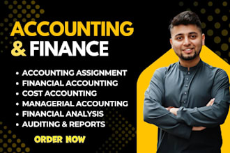 do accounting and finance assignments, financial analysis, reports, excel tasks