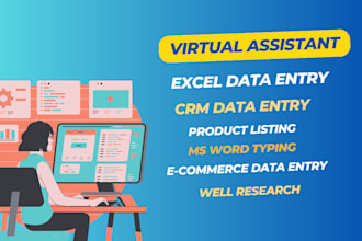 be your excel data entry and virtual assistant for wordpress