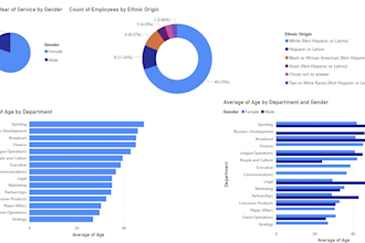 design excel dashboard and do data analysis in spss or stata