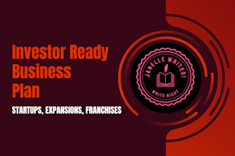 make an investor ready business plan for you