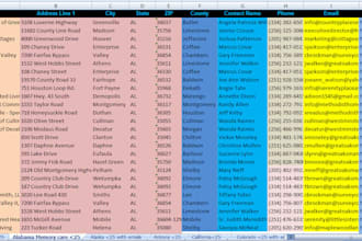do excel data entry, copy paste, convert PDF, typing, data entry