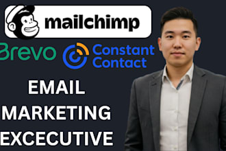 design editable mailchimp brevo mailerlite newsletter template automation