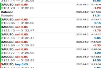 deliver you high profitable forex trading, trading bot, ea bot, forex trading
