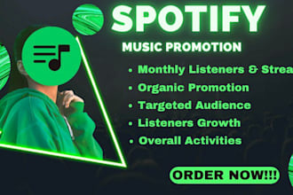 run organic spotify music and apple music promotion