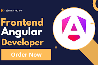 be your expert angular and frontend developer