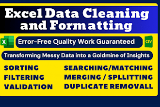 do ms excel data entry, cleaning and formatting, merging, splitting, sorting