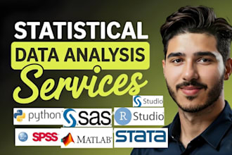 do statistical data analysis, spss data analysis, stata, r, nvivo, sas, matlab