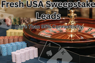 provide high quality sweepstake leads for your campaign