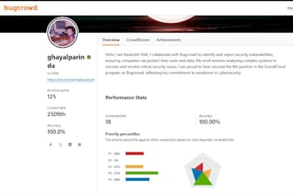 test your web app or API for owasp vulnerabilities and logic flaws