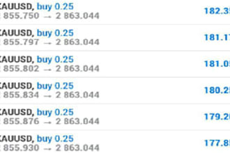 deliver efficient profitable forex trading bot, forex bot, forex trading bot