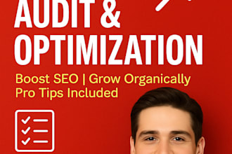 do a professional youtube channel audit and SEO optimization