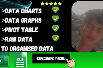 clean your excel data, charts, pivot tables, data formatting