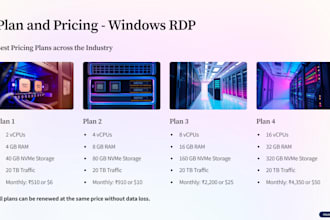 provide fast windows rdp monthly and daily plans