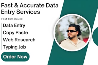 do data entry typing work job and web research, excel data cleaning and analysis