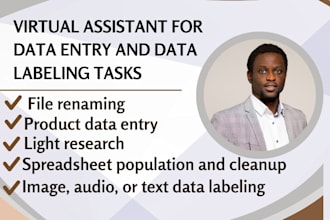 be your virtual assistant for data entry and data labeling tasks