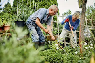 create garden website, landscaping, floral shop, lawn care, plant care website