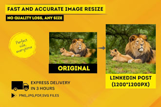 resize, expand, and upscale photos in any size within 3 hours