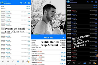 provide efficient forex trading bot forex bot forex trading forex trading robot