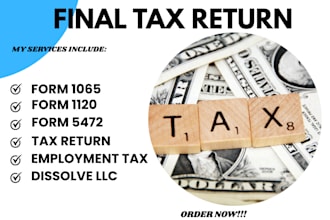 prepare and file US tax returns for business