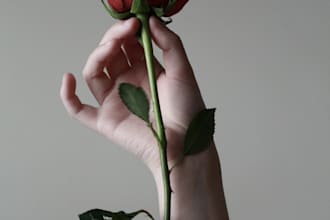 craft a custom spicy romance novel includes bdsm and nsfw