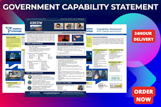 design federal government capability statement