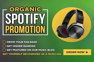 organic apple music promotion spotify itunes playlist soundcloud music developer