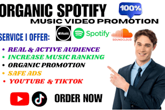 do organic youtube tiktok spotify soundcloud apple music video ads promotion