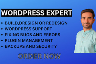 create affordable wordpress website design