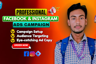 manage instagram ads and facebook ads campaign for your business efficiently